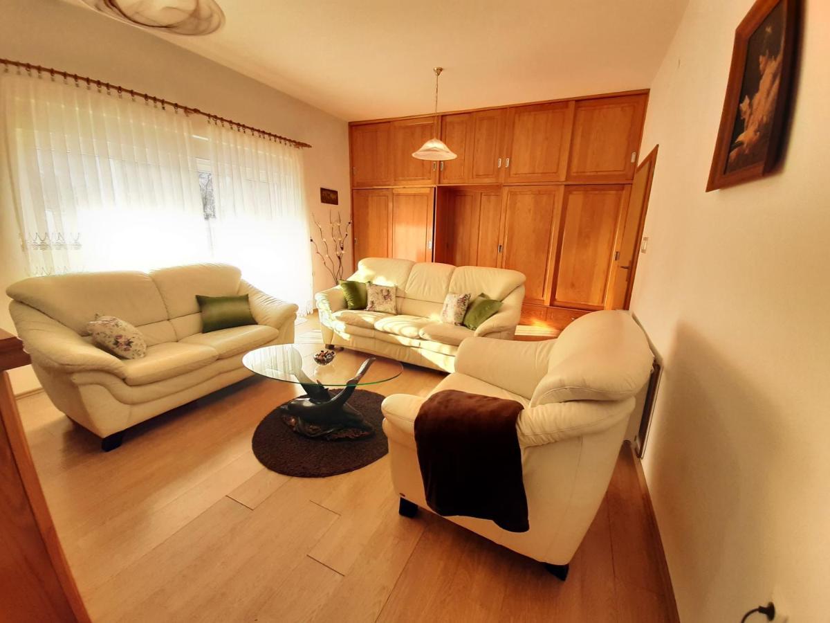 Apartment Gorska Vila Ogulin Exterior foto